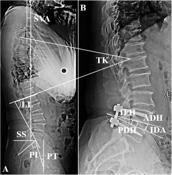 https://cdn.ncbi.nlm.nih.gov/pmc/blobs/0777/12042309/9df544a2b6d9/12893_2025_2920_Fig1_HTML.jpg