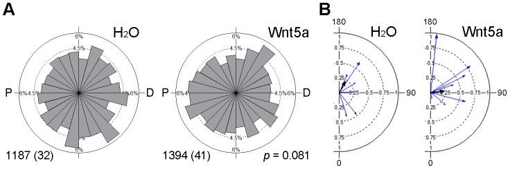https://cdn.ncbi.nlm.nih.gov/pmc/blobs/0778/5055393/259a36a84577/elife-16463-fig3-figsupp1.jpg