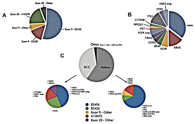 https://cdn.ncbi.nlm.nih.gov/pmc/blobs/0779/4359235/44582d74f49c/oncotarget-06-1315-g004.jpg