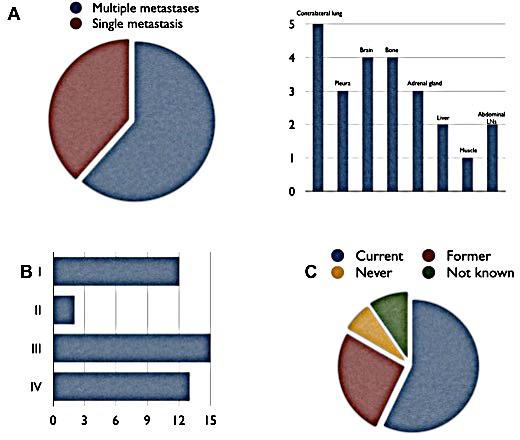 https://cdn.ncbi.nlm.nih.gov/pmc/blobs/0779/4359235/a1749985fdae/oncotarget-06-1315-g003.jpg