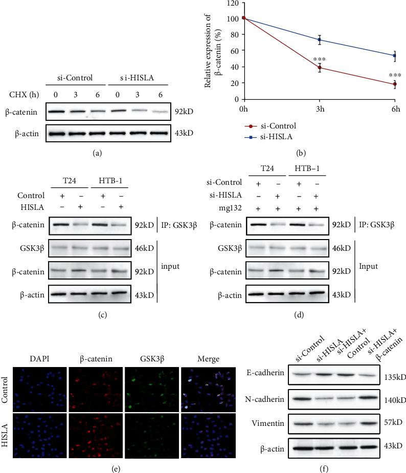 https://cdn.ncbi.nlm.nih.gov/pmc/blobs/077c/11401692/6c1b9cdd7091/JO2022-8268719.006.jpg