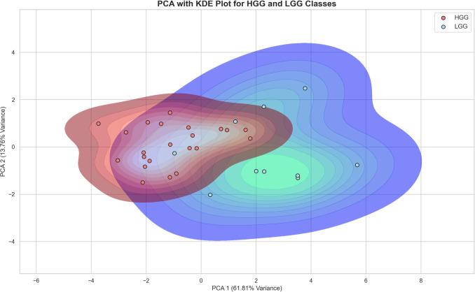 https://cdn.ncbi.nlm.nih.gov/pmc/blobs/077e/12055884/af09cc7ae7c0/701_2025_6535_Fig7_HTML.jpg