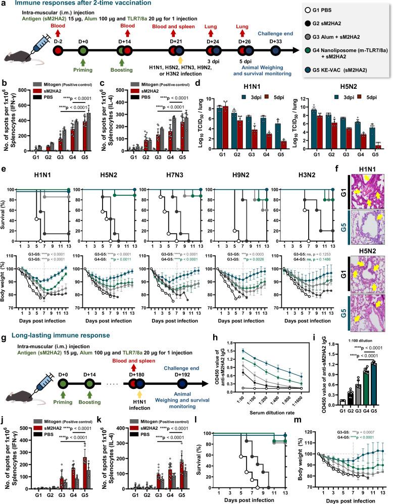 https://cdn.ncbi.nlm.nih.gov/pmc/blobs/0782/11937524/de37860f6b7a/41467_2025_58006_Fig5_HTML.jpg