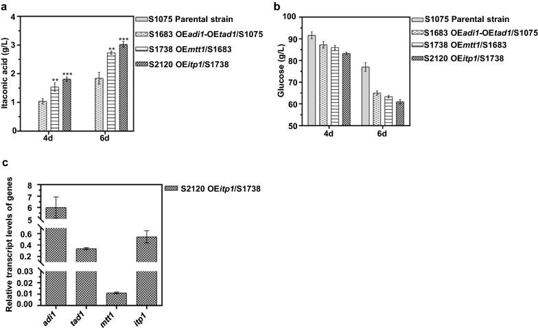 https://cdn.ncbi.nlm.nih.gov/pmc/blobs/0783/9367143/5cbc390f88e0/12934_2022_1881_Fig3_HTML.jpg