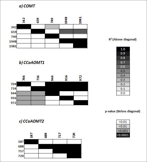 https://cdn.ncbi.nlm.nih.gov/pmc/blobs/0784/2829591/6c853ec9c065/1471-2229-10-27-3.jpg