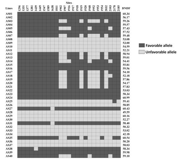 https://cdn.ncbi.nlm.nih.gov/pmc/blobs/0784/2829591/ad172b5b01e3/1471-2229-10-27-2.jpg
