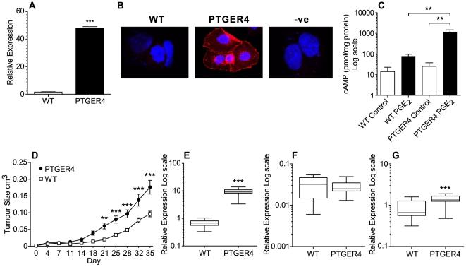 https://cdn.ncbi.nlm.nih.gov/pmc/blobs/0784/3093383/cc5c16ebd4c5/pone.0019209.g002.jpg