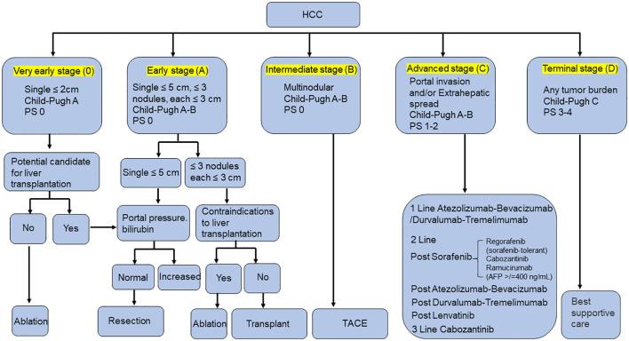 https://cdn.ncbi.nlm.nih.gov/pmc/blobs/0785/11330771/23bf058f2acd/fimmu-15-1418965-g001.jpg