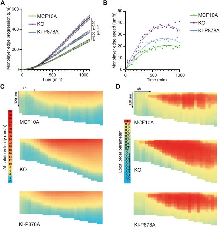 https://cdn.ncbi.nlm.nih.gov/pmc/blobs/0786/11568829/6b8dd9b4493a/LSA-2024-02583_Fig6.jpg