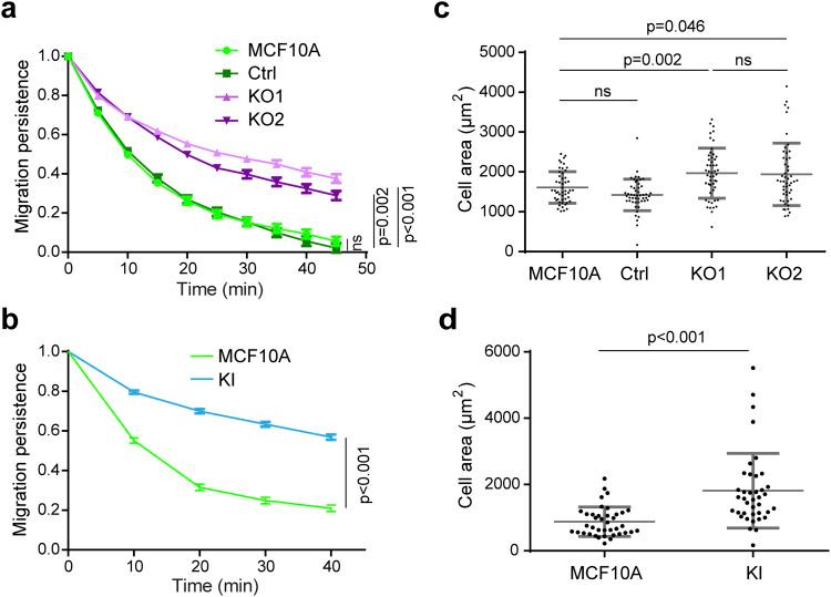 https://cdn.ncbi.nlm.nih.gov/pmc/blobs/0786/11568829/927ef4a50035/LSA-2024-02583_FigS5.jpg