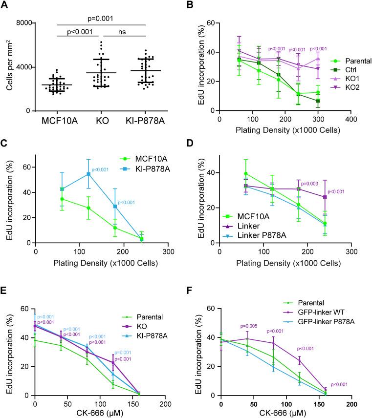 https://cdn.ncbi.nlm.nih.gov/pmc/blobs/0786/11568829/a5f32c631858/LSA-2024-02583_Fig8.jpg
