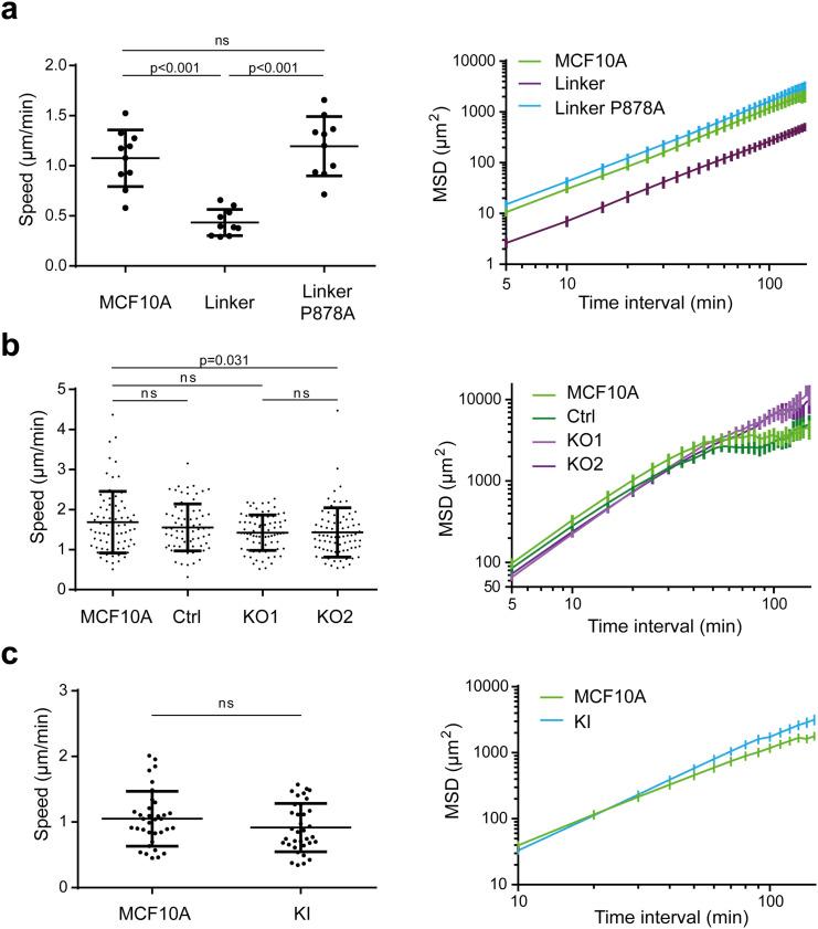 https://cdn.ncbi.nlm.nih.gov/pmc/blobs/0786/11568829/af6dd37a6710/LSA-2024-02583_FigS2.jpg
