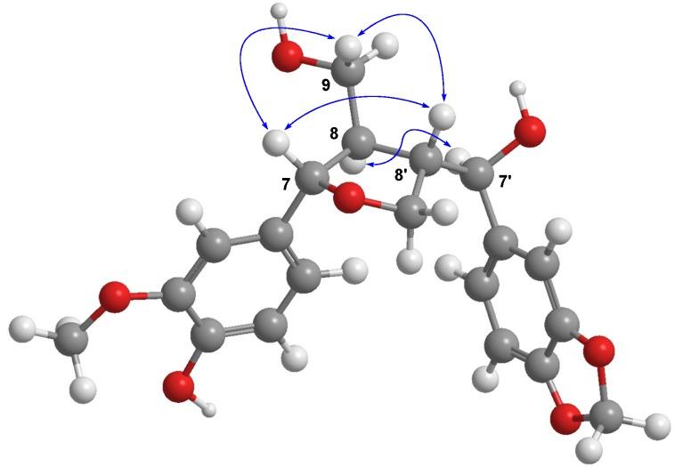https://cdn.ncbi.nlm.nih.gov/pmc/blobs/0787/6270674/d20da3590f58/molecules-19-00122-g003.jpg