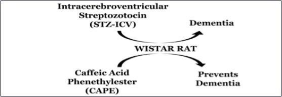 https://cdn.ncbi.nlm.nih.gov/pmc/blobs/0788/5407100/b63475d21709/PM-13-10-g001.jpg