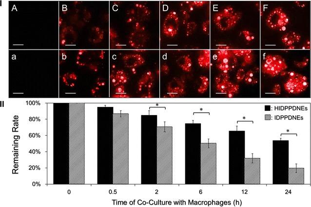 https://cdn.ncbi.nlm.nih.gov/pmc/blobs/078a/5437512/8de4bc1c239c/12951_2017_274_Fig4_HTML.jpg