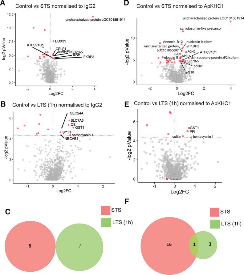 https://cdn.ncbi.nlm.nih.gov/pmc/blobs/078c/9829102/d89ea5b19a16/ENEURO.0266-22.2022_f002.jpg