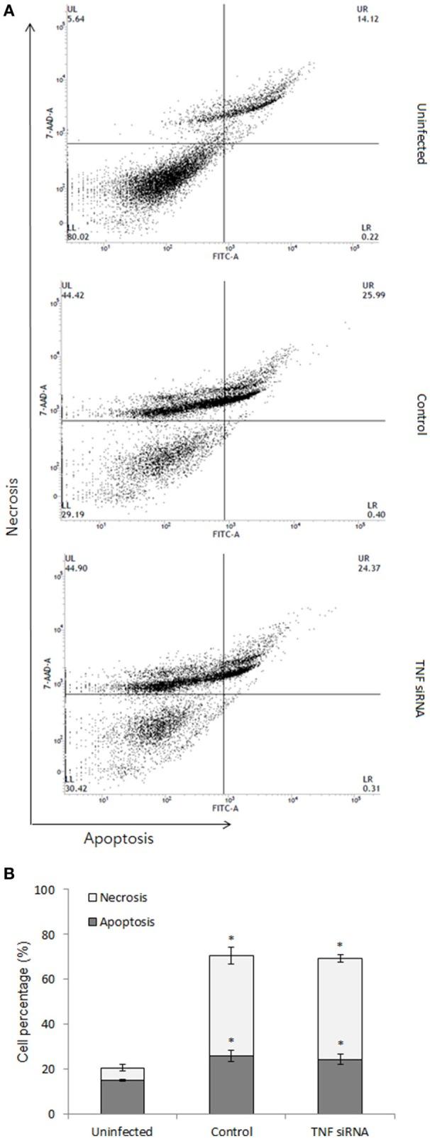https://cdn.ncbi.nlm.nih.gov/pmc/blobs/078e/5640714/e1f184b4eeea/fcimb-07-00437-g0005.jpg
