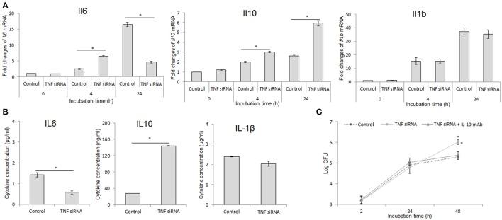 https://cdn.ncbi.nlm.nih.gov/pmc/blobs/078e/5640714/ec934cde5a71/fcimb-07-00437-g0002.jpg
