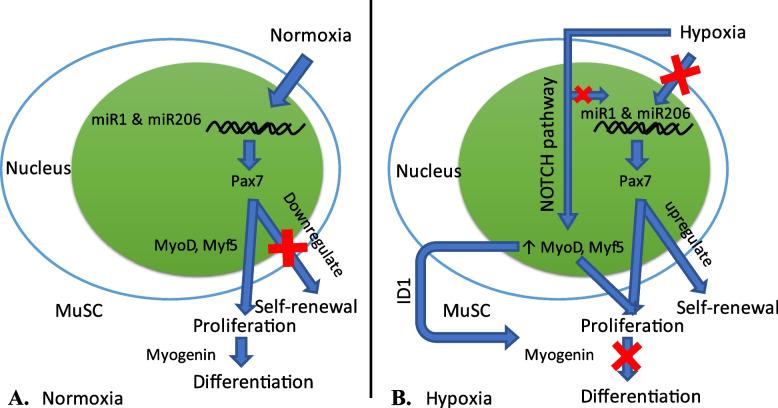 https://cdn.ncbi.nlm.nih.gov/pmc/blobs/078e/9576835/60100bc2c557/43141_2022_429_Fig3_HTML.jpg