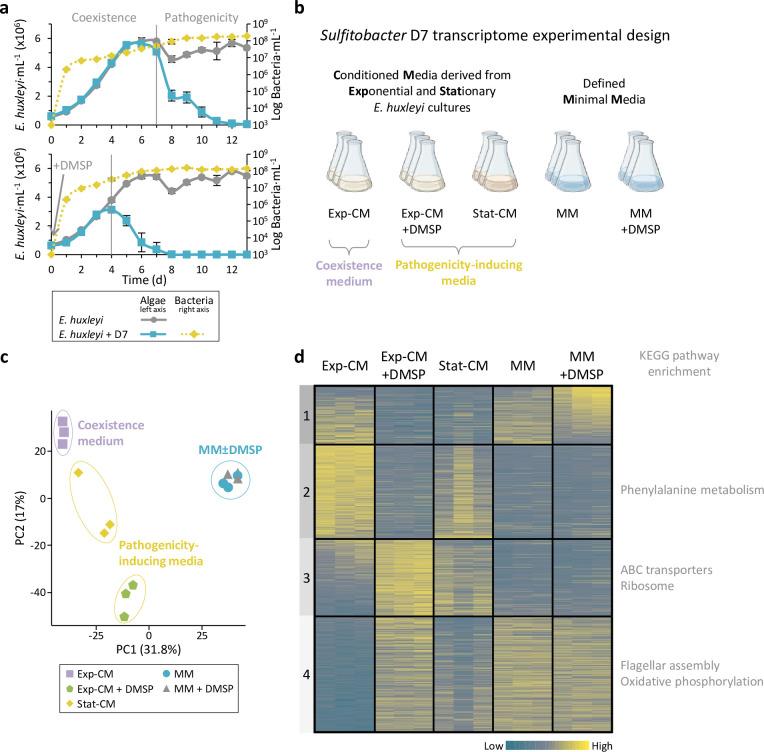 https://cdn.ncbi.nlm.nih.gov/pmc/blobs/078e/9873259/c27e3b969ca3/elife-84400-fig1.jpg