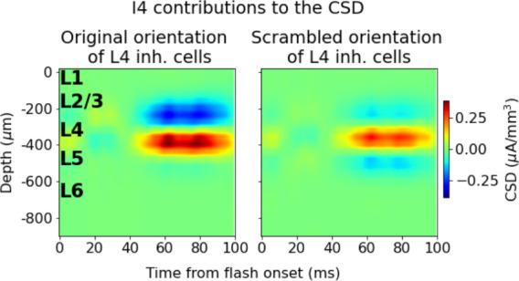 https://cdn.ncbi.nlm.nih.gov/pmc/blobs/0791/10393295/393ce90b0224/elife-87169-fig7-figsupp2.jpg