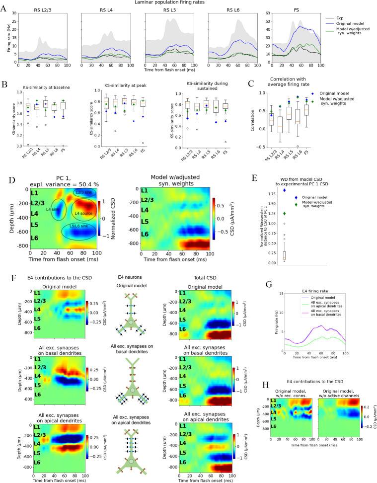 https://cdn.ncbi.nlm.nih.gov/pmc/blobs/0791/10393295/95d0e4282144/elife-87169-fig5.jpg