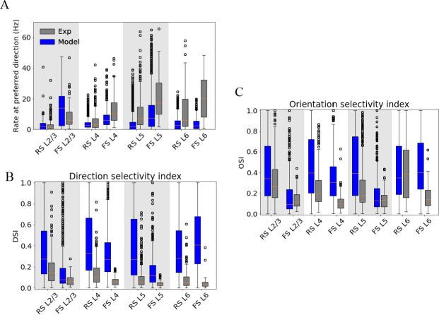 https://cdn.ncbi.nlm.nih.gov/pmc/blobs/0791/10393295/f997538c2369/elife-87169-fig6-figsupp6.jpg