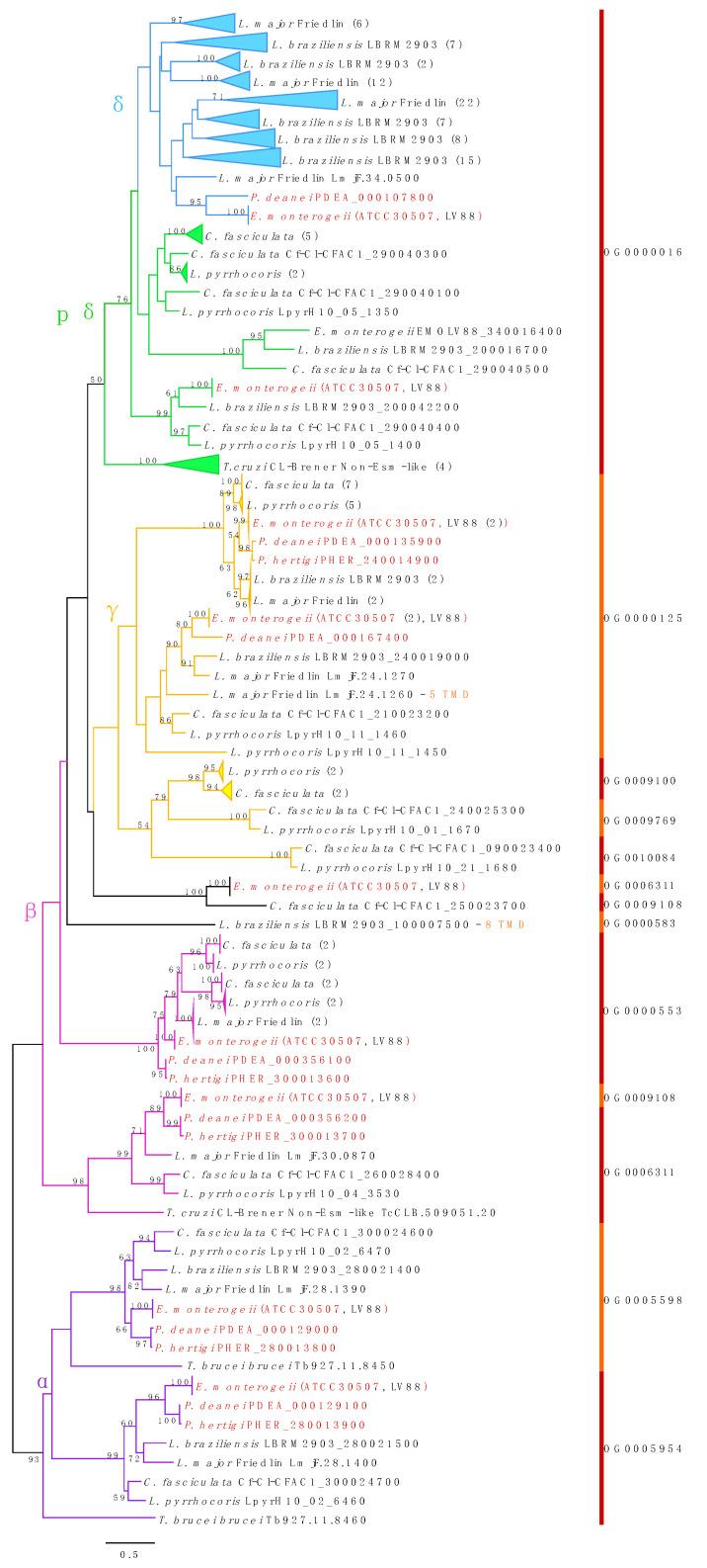 https://cdn.ncbi.nlm.nih.gov/pmc/blobs/0794/8004069/64bc178dc72d/genes-12-00444-g002.jpg