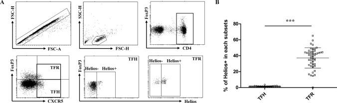 https://cdn.ncbi.nlm.nih.gov/pmc/blobs/0795/10799143/26535d195e33/10238_2023_1289_Fig2_HTML.jpg