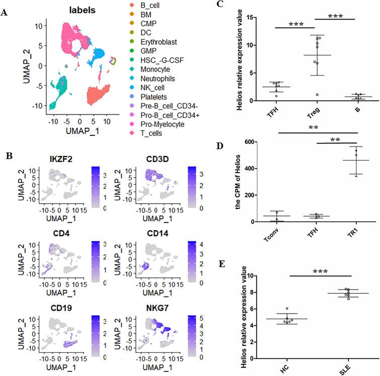 https://cdn.ncbi.nlm.nih.gov/pmc/blobs/0795/10799143/f290dd6a3687/10238_2023_1289_Fig1_HTML.jpg