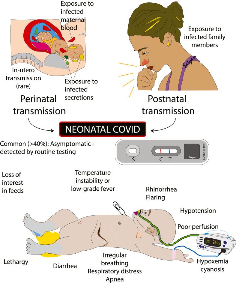 https://cdn.ncbi.nlm.nih.gov/pmc/blobs/0796/10036147/e6ff513f7a28/gr1_lrg.jpg