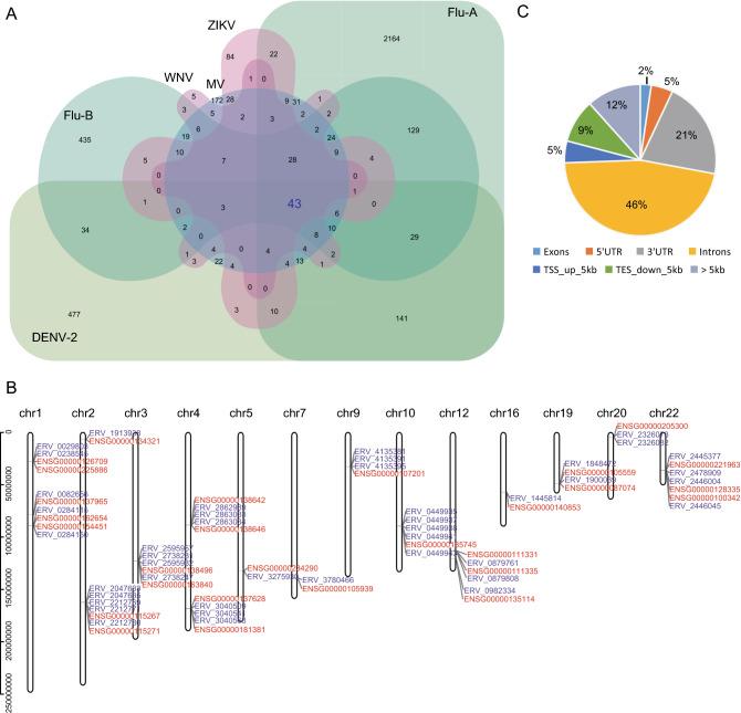 https://cdn.ncbi.nlm.nih.gov/pmc/blobs/0796/8692641/7030aa2049d3/12250_2021_370_Fig3_HTML.jpg