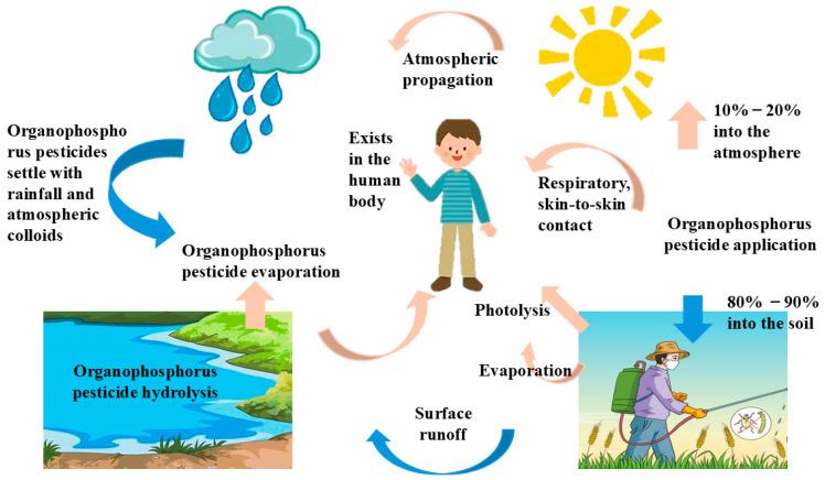 https://cdn.ncbi.nlm.nih.gov/pmc/blobs/0799/11728651/e1eef5c8b8be/toxics-12-00926-g003.jpg