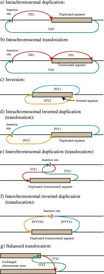 https://cdn.ncbi.nlm.nih.gov/pmc/blobs/079b/5520322/32e7af16fb19/12859_2017_1760_Fig2_HTML.jpg