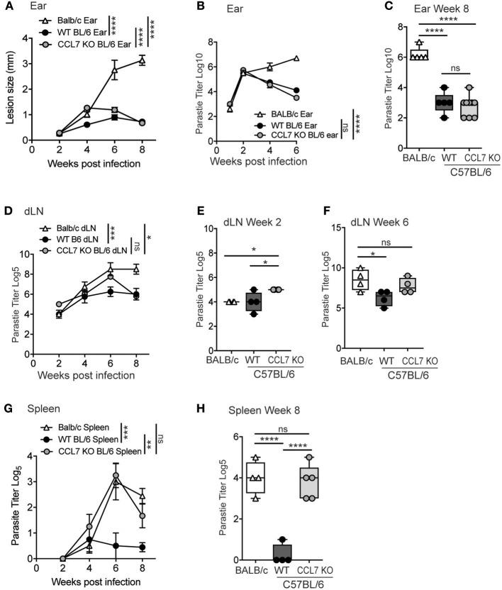 https://cdn.ncbi.nlm.nih.gov/pmc/blobs/079b/6331479/16318b99c78f/fimmu-09-03063-g0007.jpg