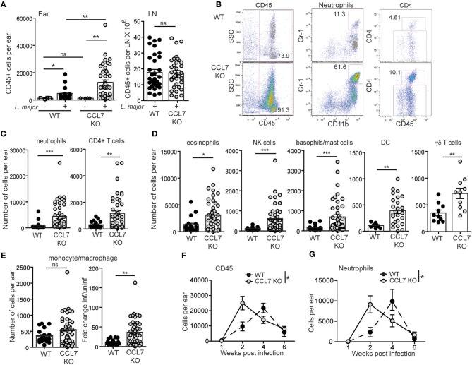 https://cdn.ncbi.nlm.nih.gov/pmc/blobs/079b/6331479/1d5b8b3870af/fimmu-09-03063-g0002.jpg