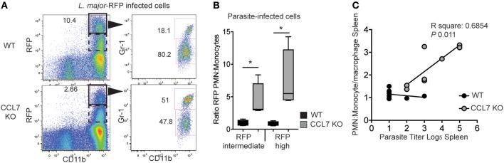 https://cdn.ncbi.nlm.nih.gov/pmc/blobs/079b/6331479/8a9d3fb032b1/fimmu-09-03063-g0006.jpg