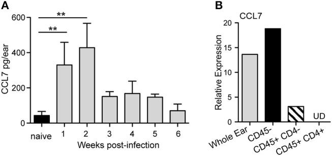 https://cdn.ncbi.nlm.nih.gov/pmc/blobs/079b/6331479/99d15343a7c4/fimmu-09-03063-g0001.jpg