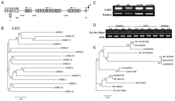 https://cdn.ncbi.nlm.nih.gov/pmc/blobs/079d/4035066/30f59e520067/12864_2013_6027_Fig4_HTML.jpg