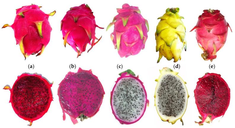 https://cdn.ncbi.nlm.nih.gov/pmc/blobs/079e/10537634/bc13269468f1/plants-12-03212-g003.jpg