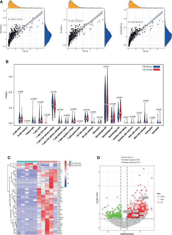 https://cdn.ncbi.nlm.nih.gov/pmc/blobs/079e/9014714/979e68576418/fonc-12-850767-g005.jpg