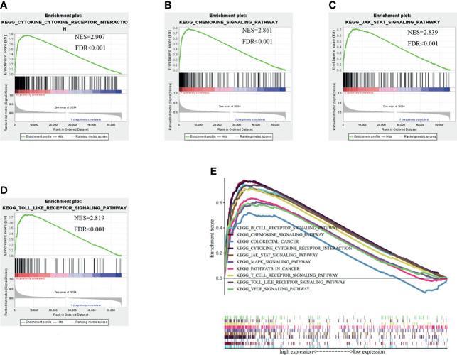 https://cdn.ncbi.nlm.nih.gov/pmc/blobs/079e/9014714/a0c6eb222638/fonc-12-850767-g004.jpg