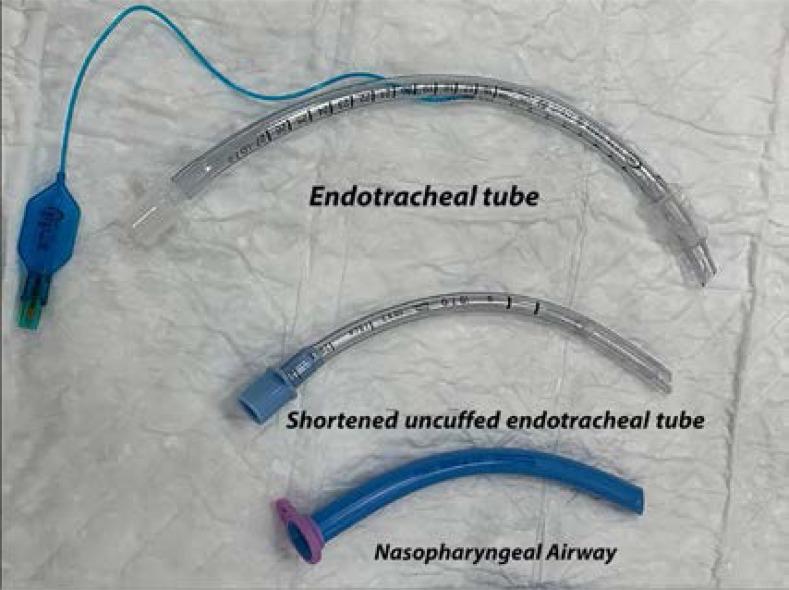 https://cdn.ncbi.nlm.nih.gov/pmc/blobs/079f/10862577/6779e1edaa47/AFHS2303-0576Fig1.jpg