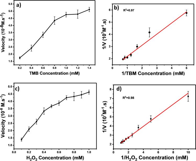 https://cdn.ncbi.nlm.nih.gov/pmc/blobs/079f/9293876/79ecbf02532e/604_2022_5386_Fig4_HTML.jpg