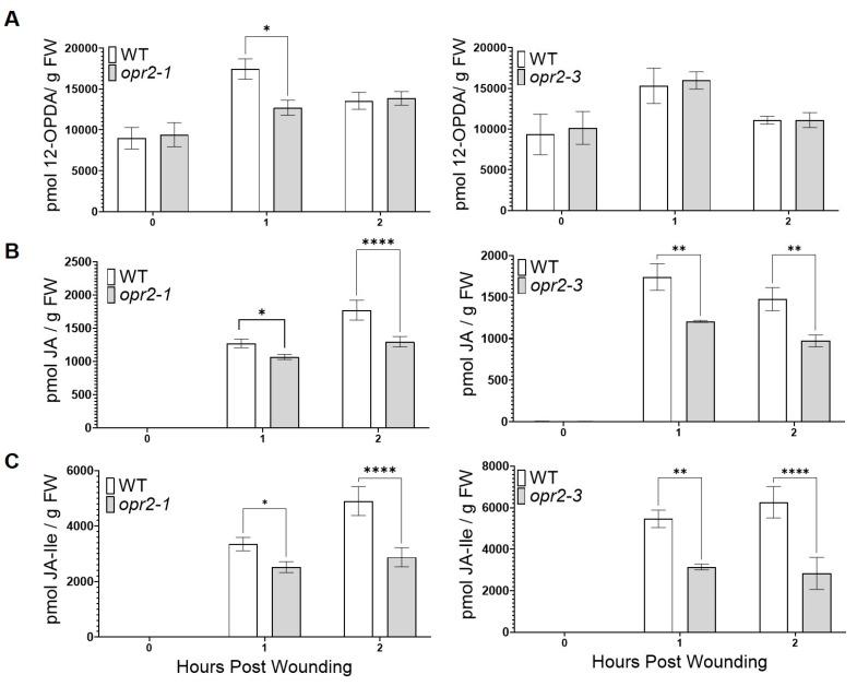 https://cdn.ncbi.nlm.nih.gov/pmc/blobs/07a0/10530937/6f1cd5999f27/genes-14-01732-g002.jpg