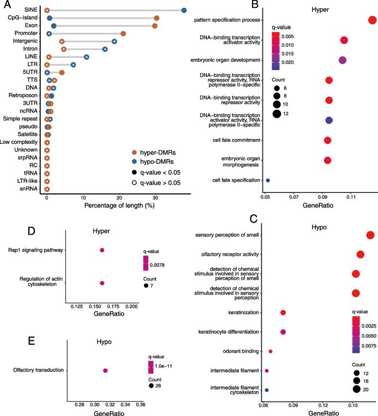 https://cdn.ncbi.nlm.nih.gov/pmc/blobs/07a0/10631027/67375fa8b324/13073_2023_1238_Fig6_HTML.jpg