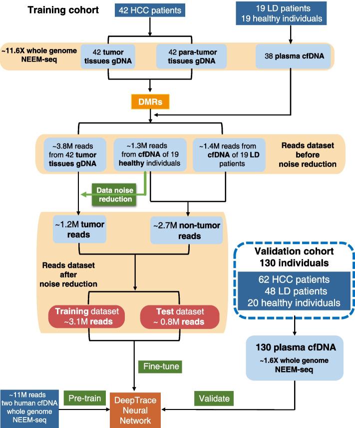 https://cdn.ncbi.nlm.nih.gov/pmc/blobs/07a0/10631027/9ea6c841860b/13073_2023_1238_Fig5_HTML.jpg