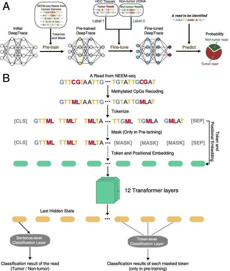 https://cdn.ncbi.nlm.nih.gov/pmc/blobs/07a0/10631027/ab8f22ff4d71/13073_2023_1238_Fig3_HTML.jpg