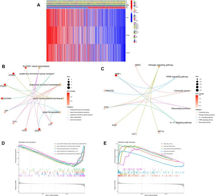 https://cdn.ncbi.nlm.nih.gov/pmc/blobs/07a1/9845272/f8769d9313d0/fgene-13-1038207-g006.jpg