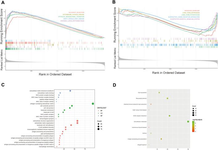 https://cdn.ncbi.nlm.nih.gov/pmc/blobs/07a2/9549413/0cef1ed4ee49/fgene-13-927142-g006.jpg